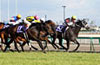 Takamatsunomiya Kinen (G1)