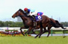 Takarazuka Kinen (G1)