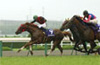Takarazuka Kinen (G1)