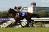 Takarazuka Kinen (G1)