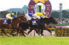 Tenno Sho (Autumn) (G1)
