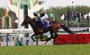 Tenno Sho (Spring) (G1)