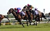 Tenno Sho (Spring) (G1)