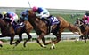 Tenno Sho (Spring) (G1)