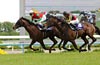 Tenno Sho (Spring) (G1)