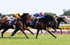 2010 Yasuda Kinen (G1)