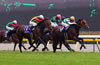 2011 Yasuda Kinen (G1)