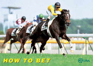 how_to_bet