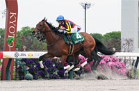 Unicorn Stakes (G3)