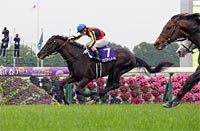 Tenno Sho (Spring) (G1)