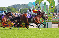 NHK Mile Cup (G1)