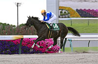 Heian Stakes (G3)