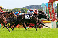 Tokyo Yushun (Japanese Derby) (G1)