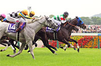 Yasuda Kinen (G1)