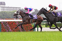 Takarazuka Kinen (G1)