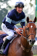 Theo Bachelot