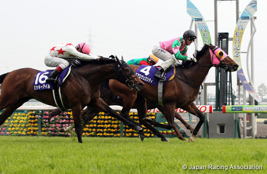 Takamatsunomiya Kinen (G1)