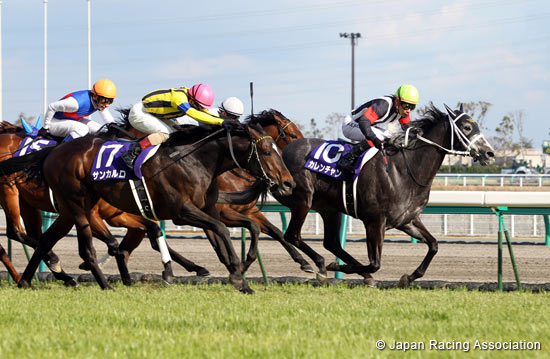 Takamatsunomiya Kinen (G1)