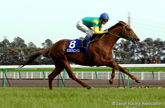 Takamatsunomiya Kinen (G1)