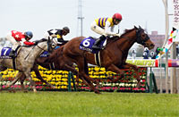 Takamatsunomiya Kinen (G1)