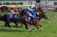 Takamatsunomiya Kinen (G1)