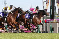 Takamatsunomiya Kinen (G1)