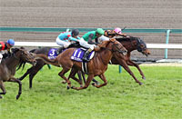 Takamatsunomiya Kinen (G1)