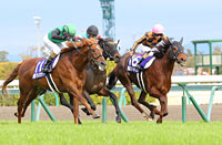 Takamatsunomiya Kinen (G1)