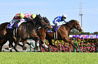 Takamatsunomiya Kinen (G1)