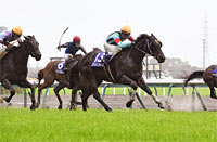 Takamatsunomiya Kinen (G1)