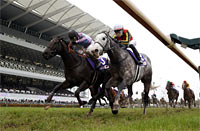 Takamatsunomiya Kinen (G1)