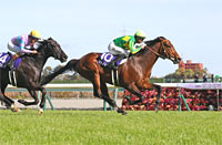 Takamatsunomiya Kinen (G1)