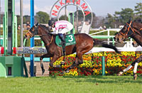Laurel R.C. Sho Nakayama Himba Stakes (G3)