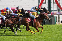 Tokai TV Hai Kinko Sho (G2)