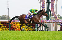 Takamatsunomiya Kinen (G1)