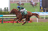 Hakodate Nisai Stakes (G3)